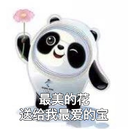 冬奥顶流冰墩墩表情包合集来啦