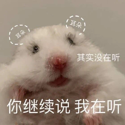 仓鼠表情包合集来啦，斗图用它准没错