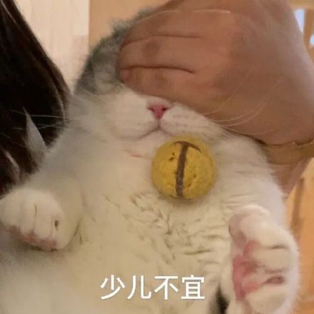 猫咪表情包合集来啦，斗图党快收好