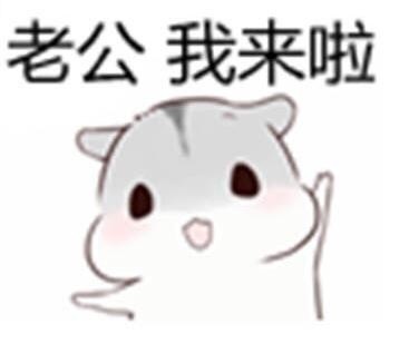 老婆撩老公专属表情包来啦