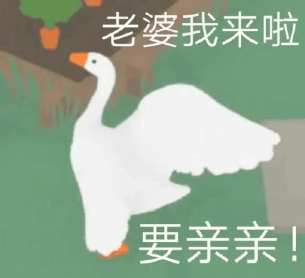 斗图党集合！超全大鹅表情包合集来了