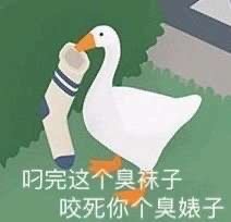 超好用的大白鹅表情包合集来啦