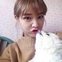 12张治愈感拉满！女生抱小猫的头像合集来了