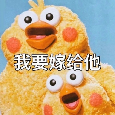 追星女孩专属！这套日常斗图表情包太戳人
