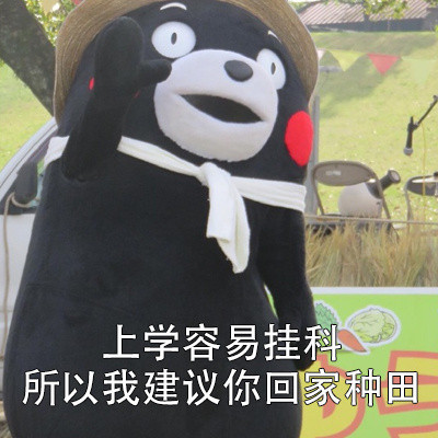 熊本熊版吐槽小建议表情包合集