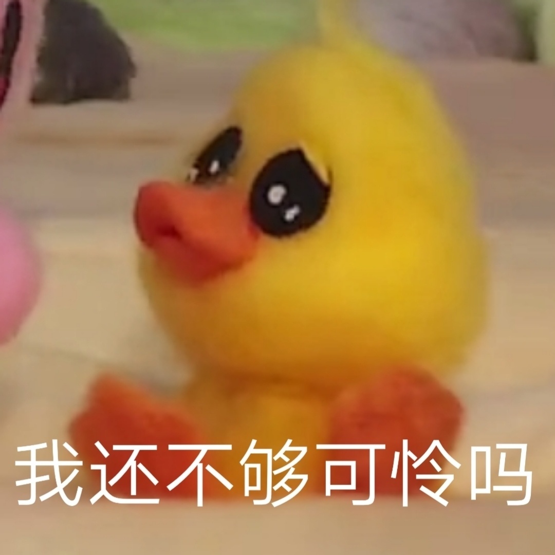 12月23日热门斗图表情包合集