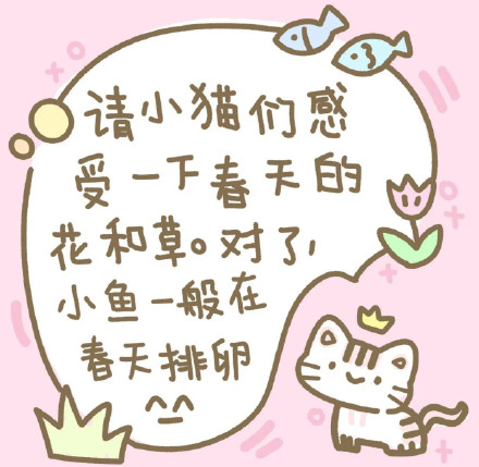 小猫文学表情包来啦 软乎乎治愈感拉满