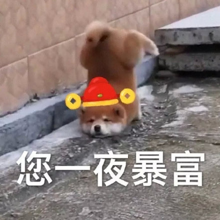 过年讨红包就用它！狗狗拜年表情包合集