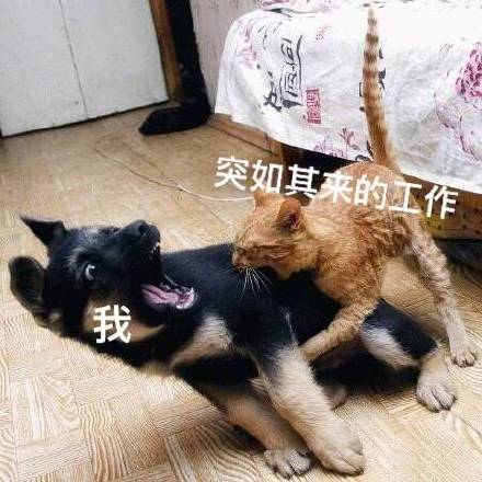 水逆倒霉蛋专属表情包来啦！快来感受下这份扎心共鸣