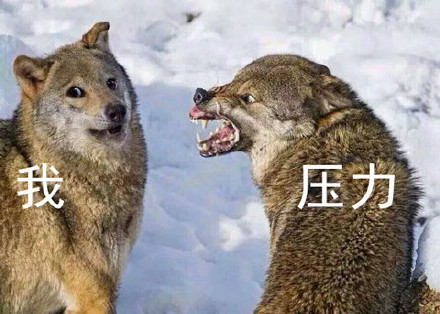 打工人、考试党同款！