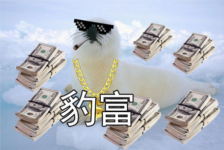 社会我豹哥！这套海豹表情包太萌了