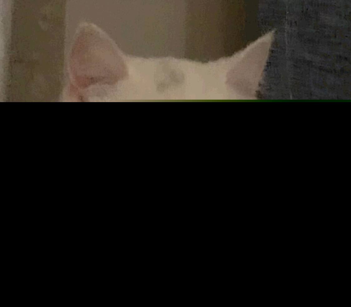 聊天斗图必备！撇嘴猫表情包合集