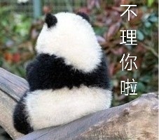 圆滚滚熊猫表情包来啦！聊天斗图直接用