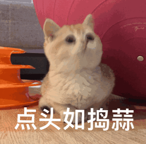 养猫养狗的看过来！这套动图表情包太好用了