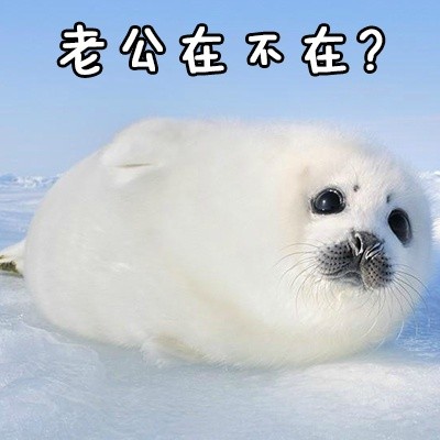 给老公发的撒娇表情包合集