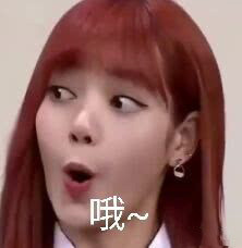 Lisa黑粉专属表情包合集