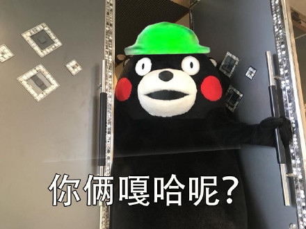当然选择原谅了！这套熊本熊表情包火了