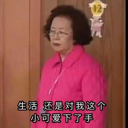 罗文姬女士专属表情包合集来了