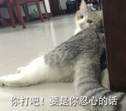 斗图神器！这句“你打吧！要是你忍心的话”表情包火了