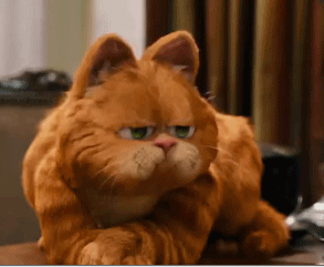 超好用的加菲猫表情包合集来啦