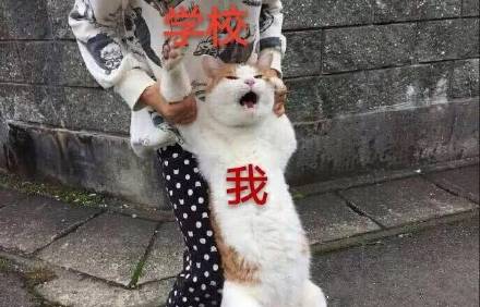 开学季必备！这套表情包精准戳中你的开学心情