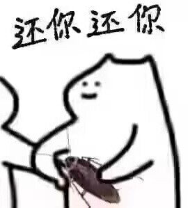 聊天斗图新选择！蟑螂表情包合集上线啦