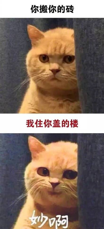 这套“妙啊”怼人表情包，打工人斗图直接用