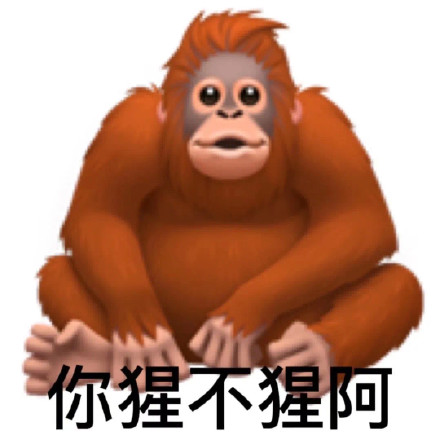 靠动物玩谐音梗？这套表情包斗图绝对好用