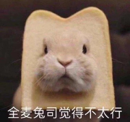 聊天斗图必备！这套兔兔表情包太好用了