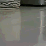 赶紧来更新你的聊天表情包吧