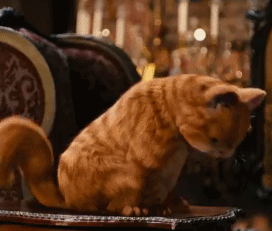 超好用的加菲猫表情包合集来啦