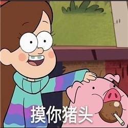 聊天斗图用的套路猪表情包合集