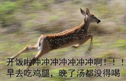 开饭啦！快喊上搭子一起冲去干饭的表情包来啦