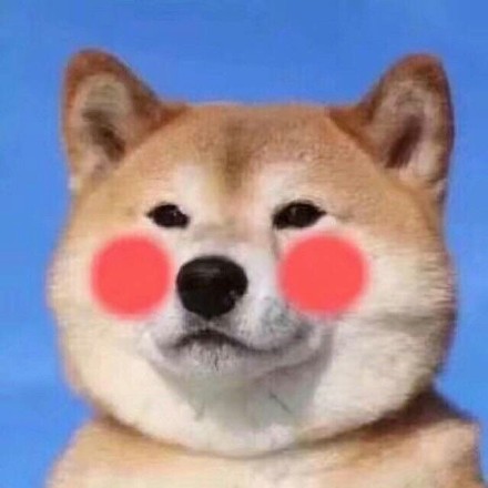 想换情侣头像的看过来！这套汪星人喵星人组合太甜了