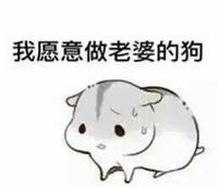 给妻奴的专属表情包，赶紧来存图