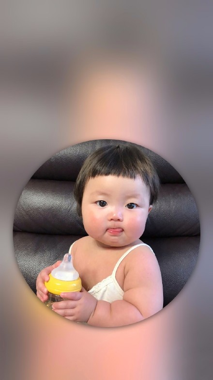 胖熙罗熙手机壁纸合集来了