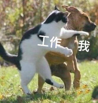 水逆倒霉蛋专属表情包来啦！快来感受下这份扎心共鸣