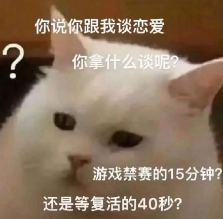 猫咪表情包合集来啦，斗图党快收好