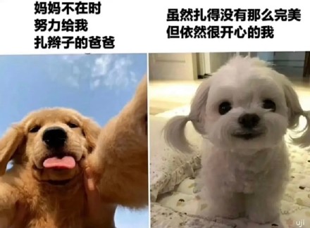 分享一组超真实的爸爸日常表情包