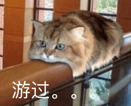聊天斗图必备！这组猫咪狗子表情包太治愈了