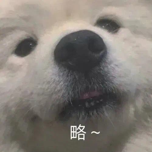 狗狗“略略略”表情包合集