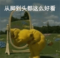 天线宝宝照镜子自恋表情包合集