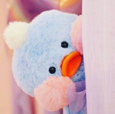 超火的玻尿酸鸭表情包来啦