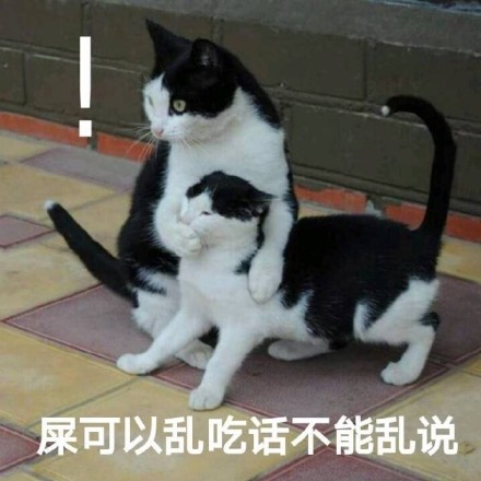 别瞎说，我们俩感情好着呢