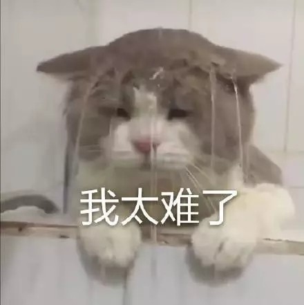 打工人必备！“我太难了”全套表情包合集