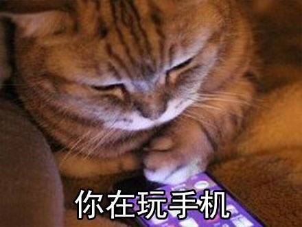 暑假在家的真实日常，这套表情包精准戳中你了吗