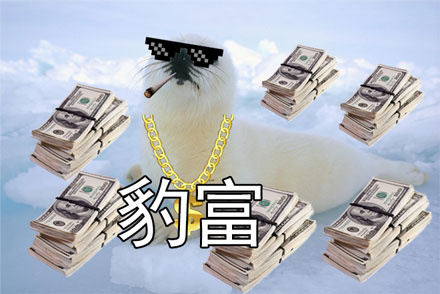 社会我豹哥！这套海豹表情包太萌了