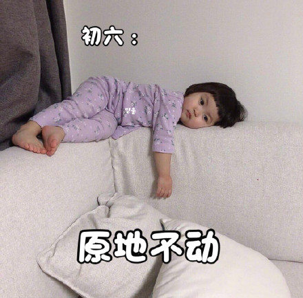 萌娃罗熙宅家一动不动表情包火了