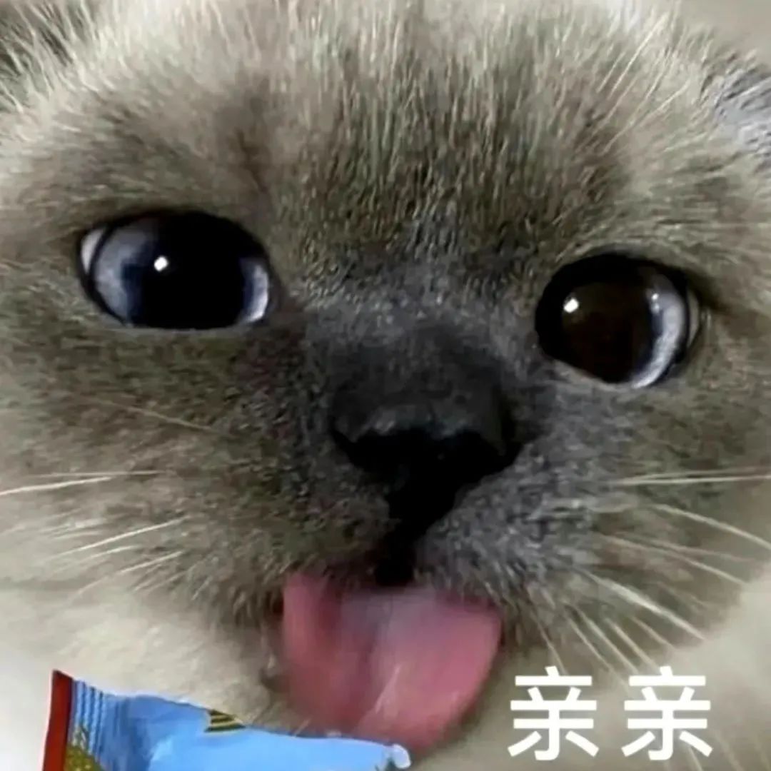 情侣聊天能用的实用表情包合集