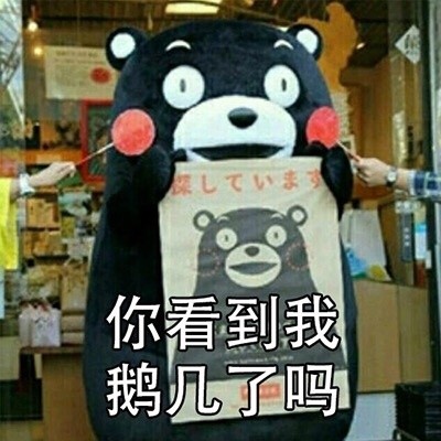 谁见过我男朋友？这套熊本熊寻人表情包火了